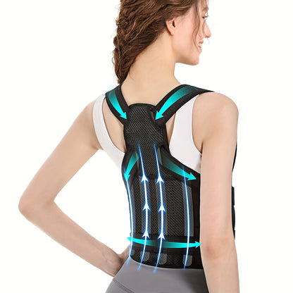Adult Back Support Belt
